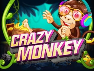 Crazy Monkey thumbnail
