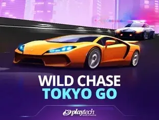 Wild Chase_ Tokyo Go game thumbnail